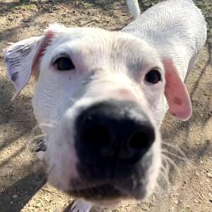 Fundraising Page: Samie Wells